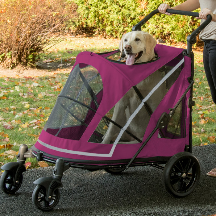 Pet Gear Expedition No Zip Standard Stroller & Reviews Wayfair